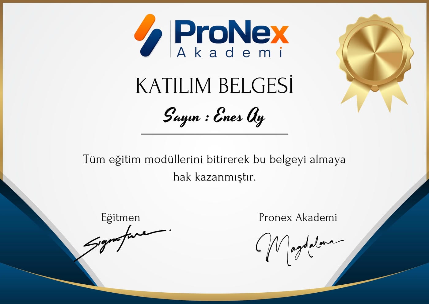 Pronex Akademi katılım belgesi örneği